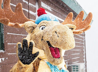 photo: The Universiade Mascotte Mac the Moose